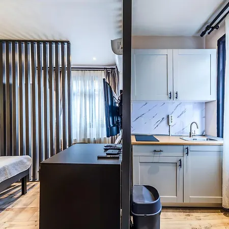 Appartement Karakoey&galataport Modern Loft - Equipped Istanboel
