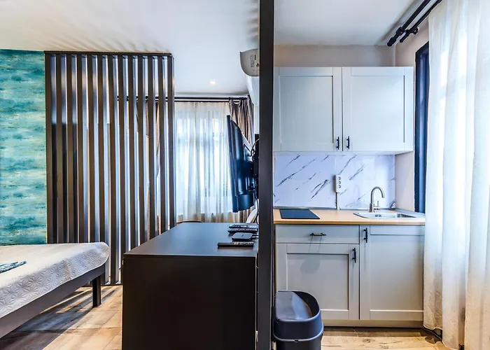 Daire Karakoey&galataport Modern Loft - Equipped İstanbul